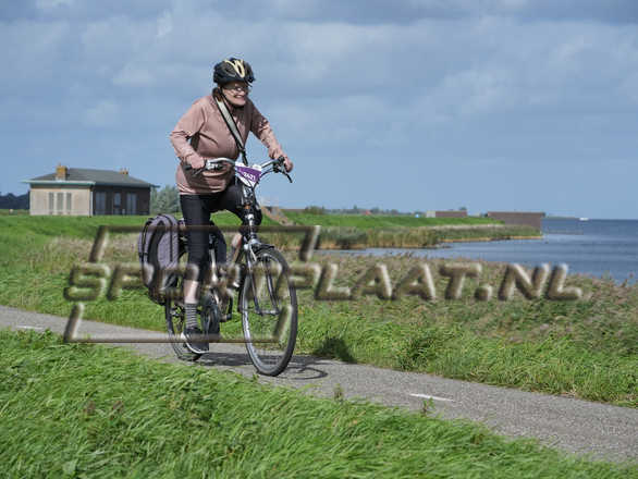 D7290.jpg